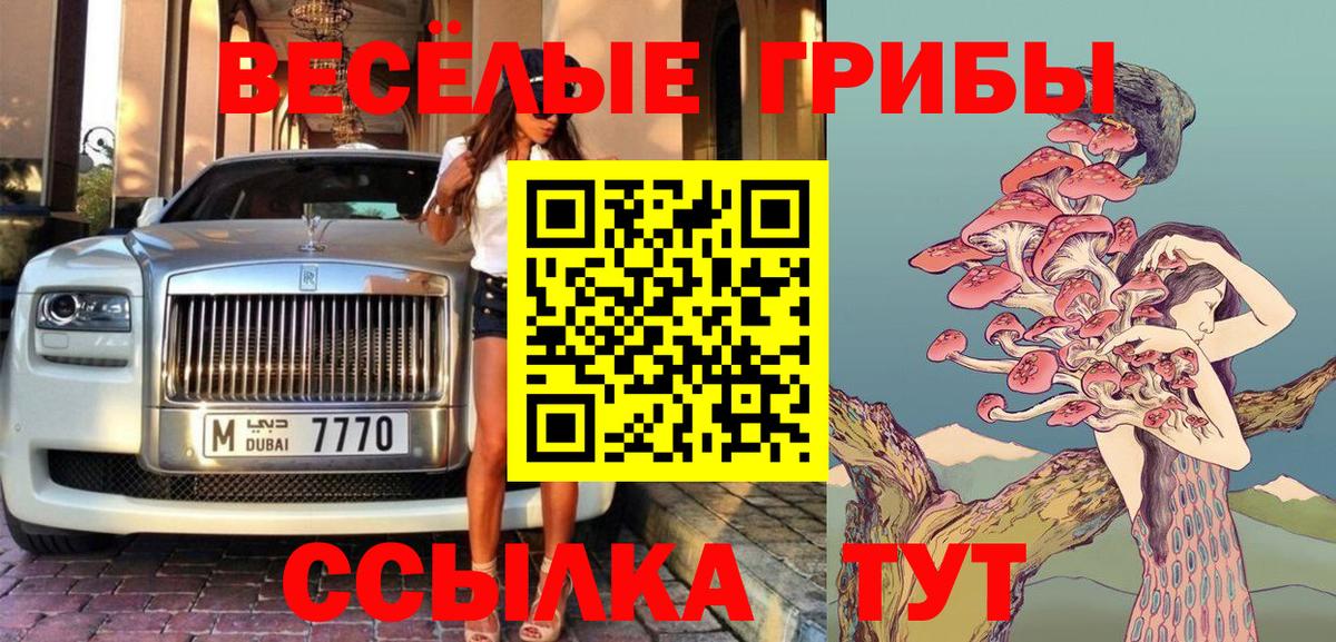 Галлюциногенные грибы Psilocybe  Вход с VPN  Бирск 